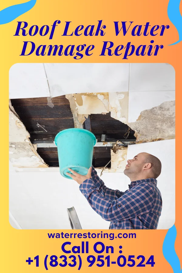 Roof Leak Water Damage Repair in Samnorwood, TX